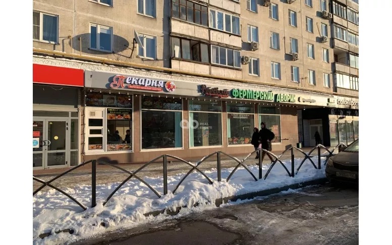 Торговая площадь 195.0 м